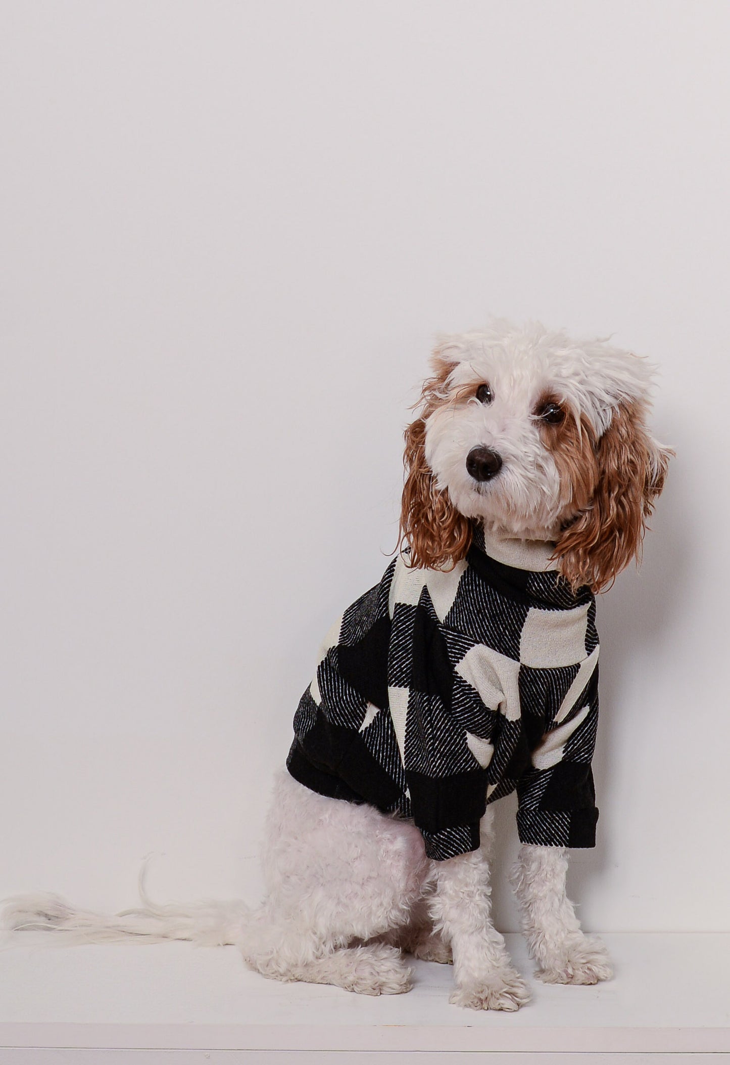 buffalo plaid doggy batwing sweater