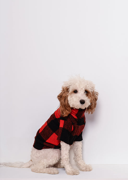 buffalo plaid doggy batwing sweater