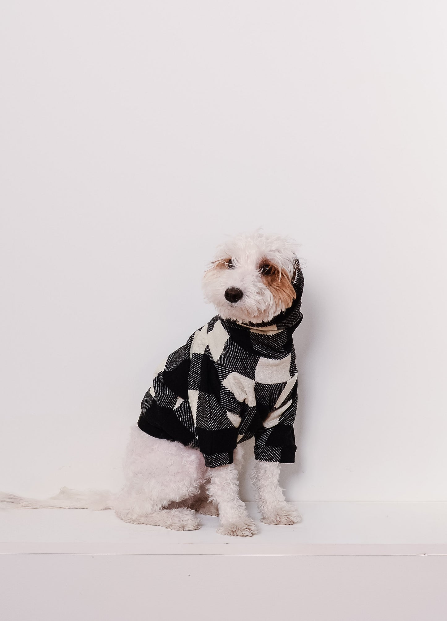buffalo plaid doggy batwing sweater