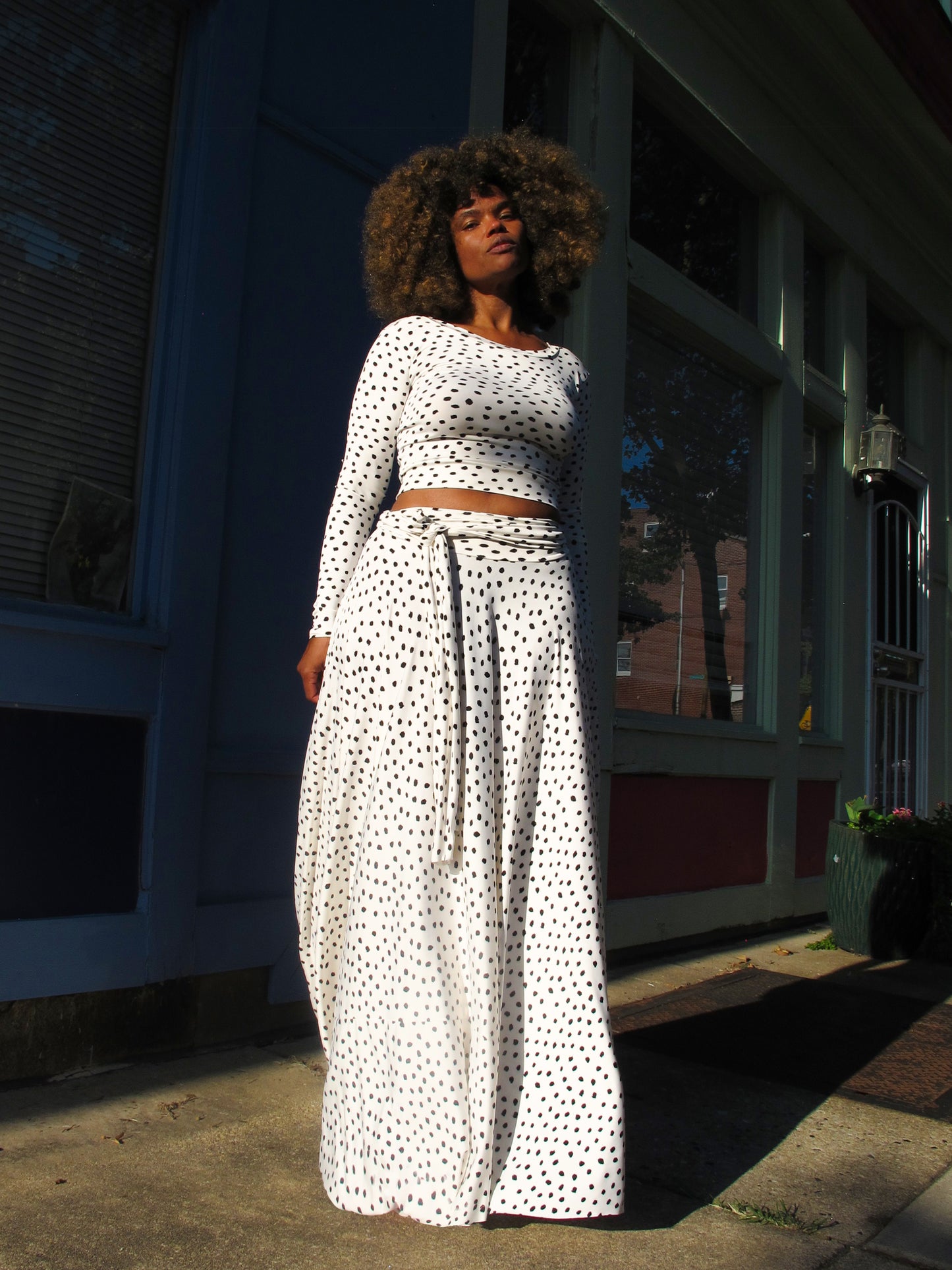 :: day thirty-one :: dalmatian crop + circle skirt